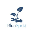 Bluespring